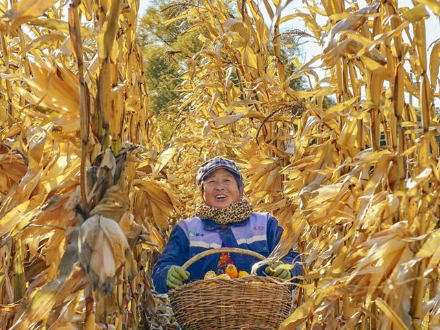 provides another opportunity for soil carbon storage in China.