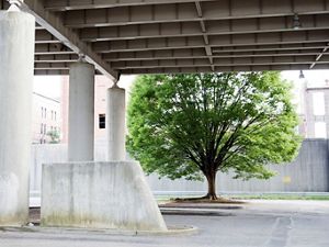 Spaghetti Junction, Louisville