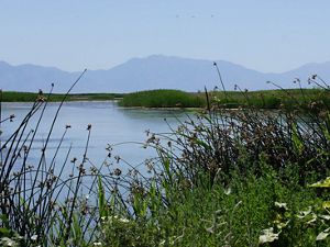 Aerial view of a bridge crossing glacial water.