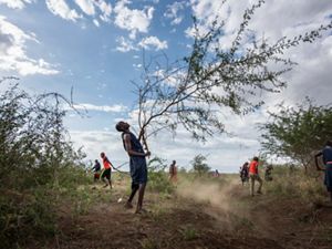 Man holding scrub bush that has been pulled from ground.