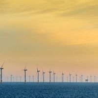 Photo of dozens of offshore wind turbines in the ocean at sunset.
