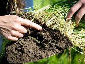 Chamberlain Farm, California.