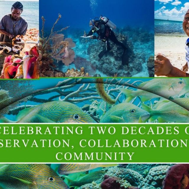 a collage of images from marine areas in the Bahamas