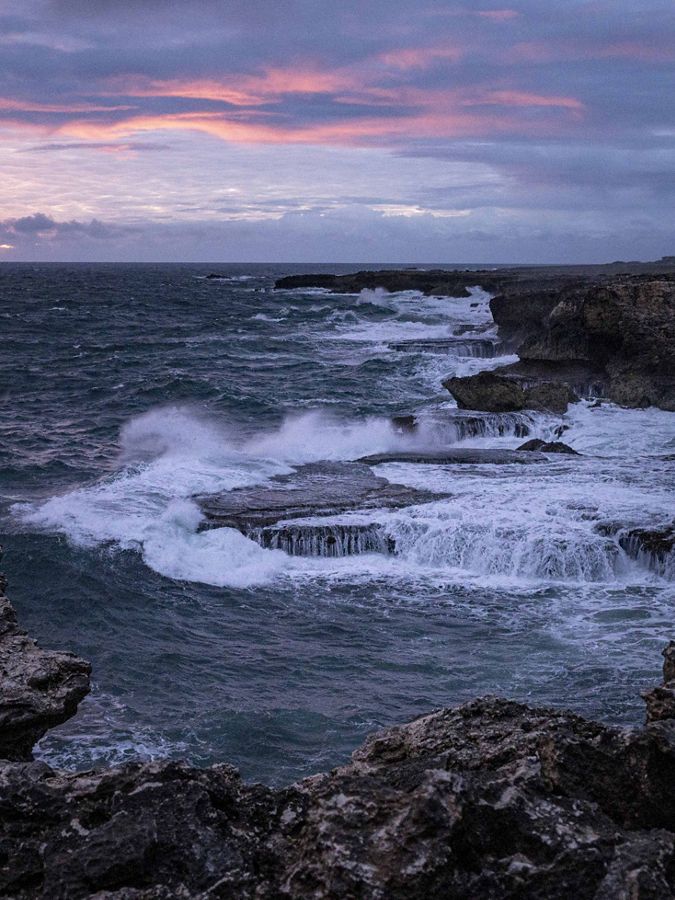 Photo of Animal Flower Bay in Barbados.
