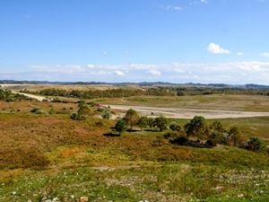 The reclaimed Starfire mine in eastern Kentucky has low vegetation, a line of small trees, and a gravel road, with hills and sky in the distance.