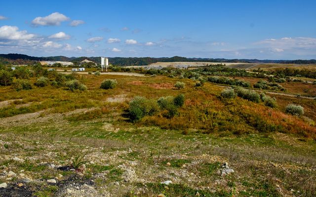Image of green and brown mountain landscape. 