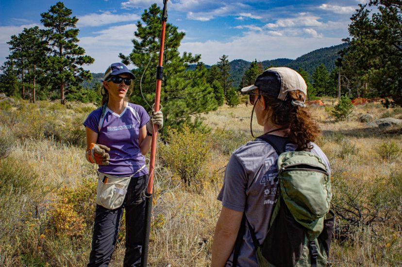 Catherine Schloegel holds a tree pruner while talking to a local researcher about seed cone collection in 2019.