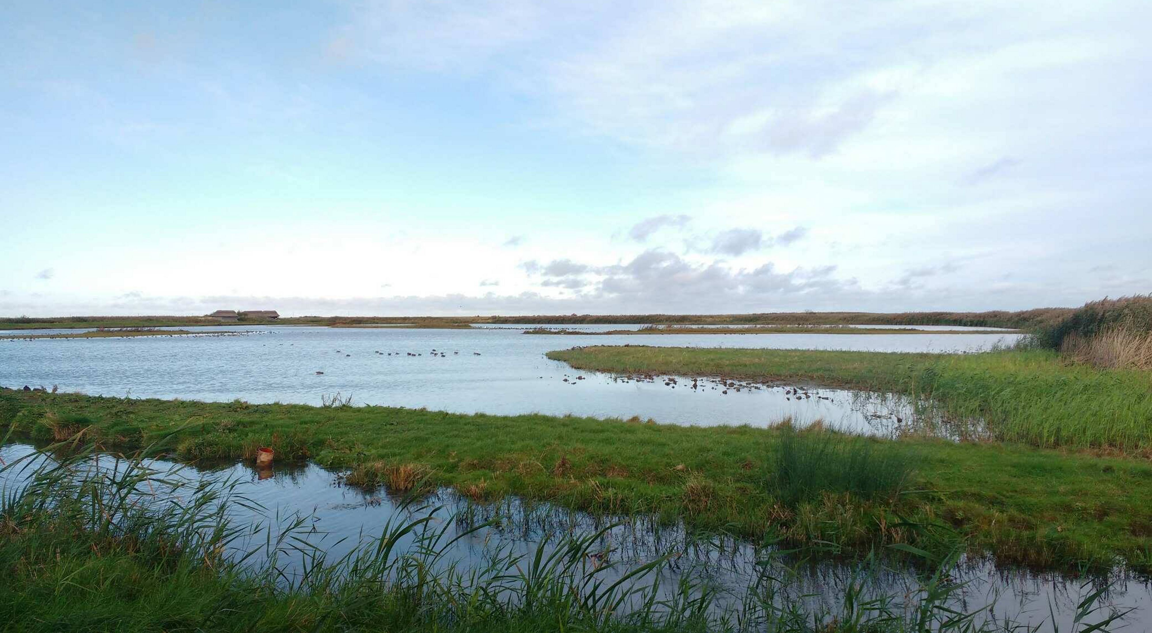A wide peaceful marsh on a sunny day in England.