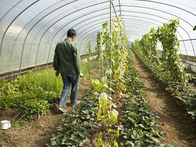  Local farmer Zhang Chengui
