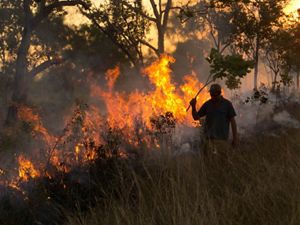 of savanna woodlands carried out by indigenous people on the Fish River Station in northern Australia