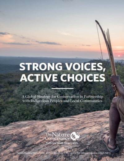 Report Cover - Strong Voices, Active Choices (2016)