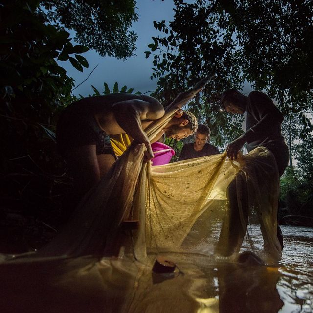 Surrounded by lush green vegetation along the river ban