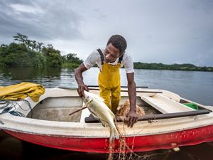 man pulls fish out of lake 