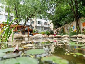 A landscape view from a habitat garden pond. 