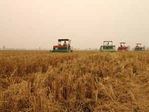 Happy Seeders in use in Northwest India