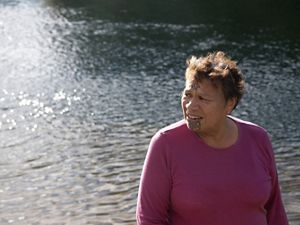 A bay with daisies in the foreground.