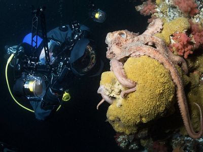 Underwater photography