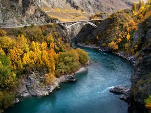 Bridge runs over deep gorge with brilliant yellow-leaved trees on either side.