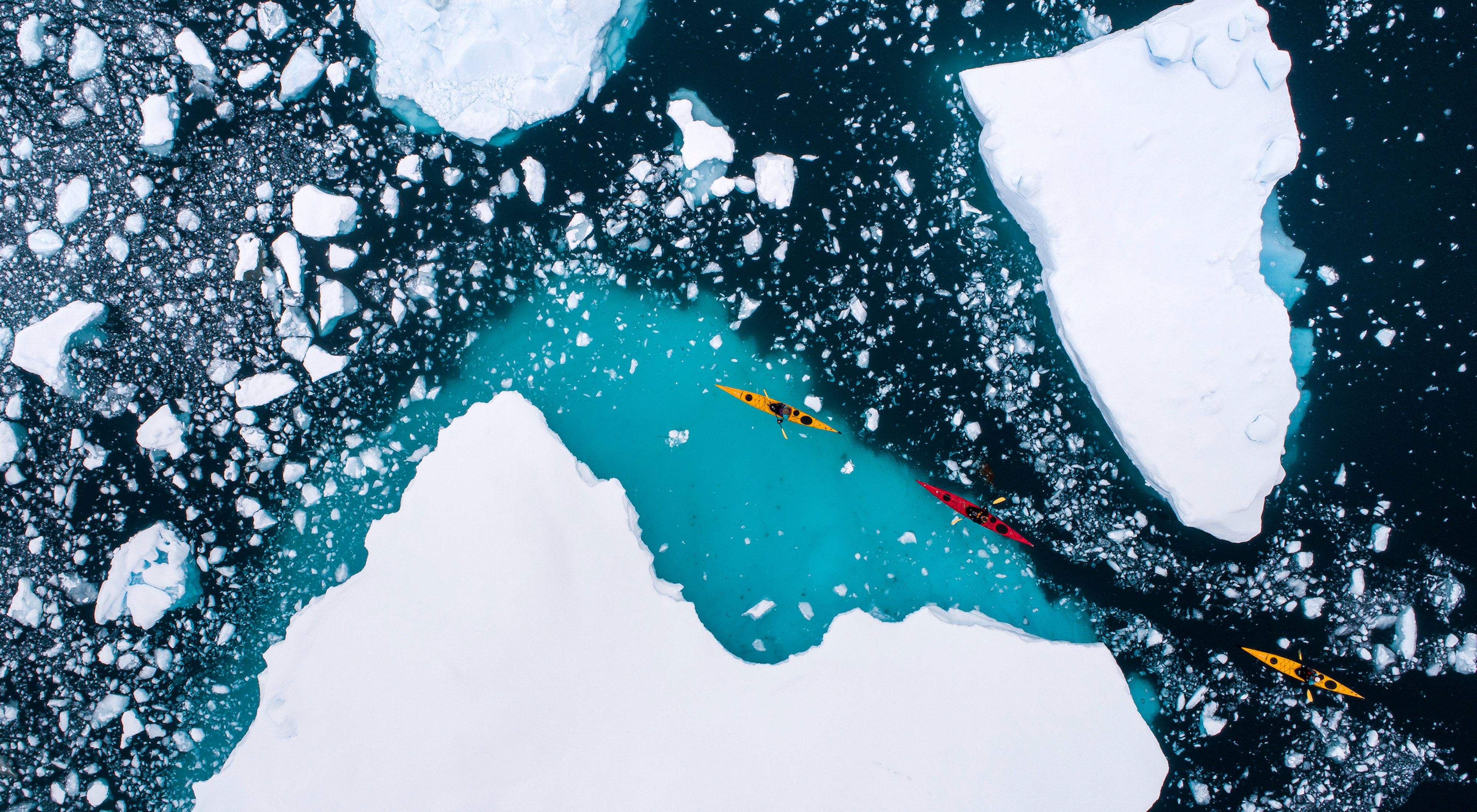 Kayakers paddling through ice.