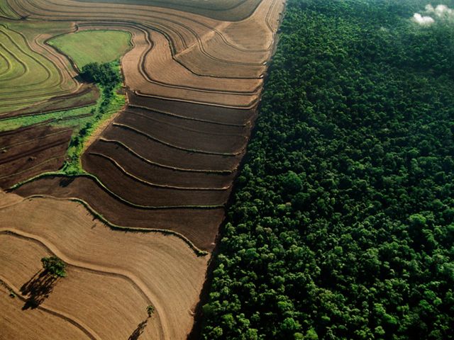Farmland & Cerrado Habitat.