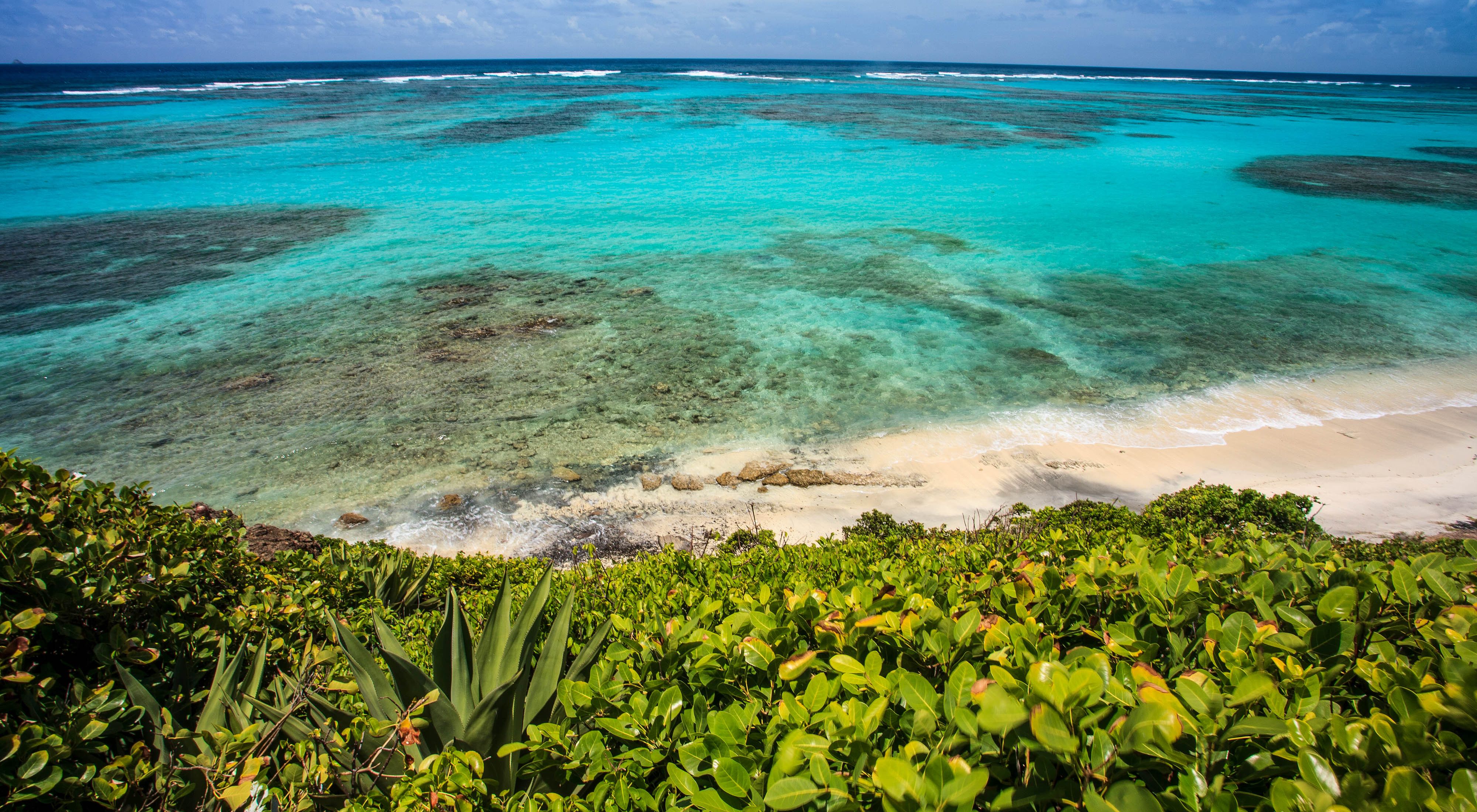 Coast along an island in St. Vincent & the Grenadines