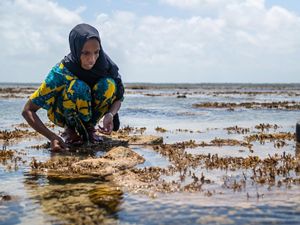 A woman fishing for octopus