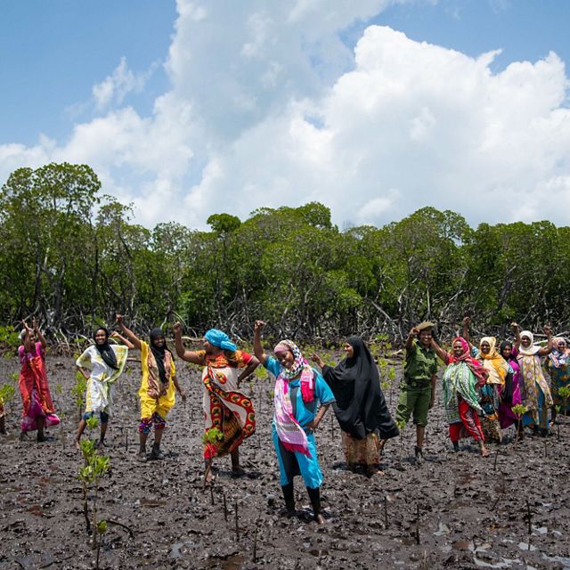 Zulfa Hassan (center, in blue), chairlady of the Mtangawanda Women's Association, and a group of women plant mangroves in a TNC-led mangrove restoration project.

