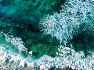 Aerial view looking straight down on waves breaking in a green ocean.