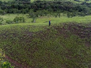 Rolling, open hillsides of Manacacias, Colombia.