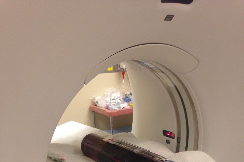 A prepared sample of salt marshes from New York is being scanned by a CT machine.