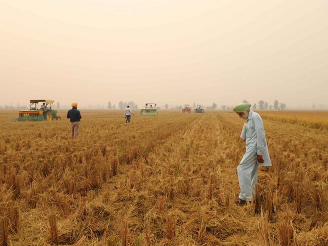 Smoke covers farmers and their machinery among crop fields.