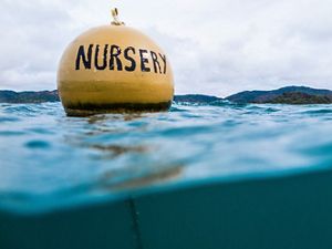 Bouy marking a marine boundary