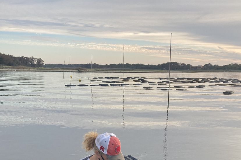 Sue Wicks, wearing a face mask, wades through her oyster farm pulling several floating cages.