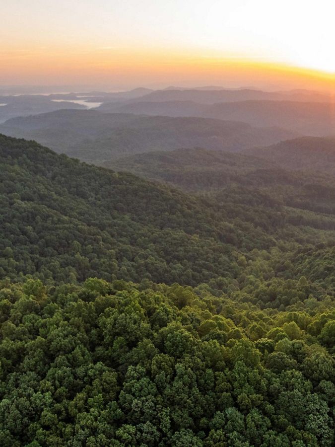 Aerial view of a sunset over a green forest.