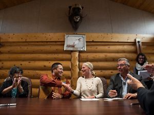 a caribou on yellow-green grasses near a wetland
