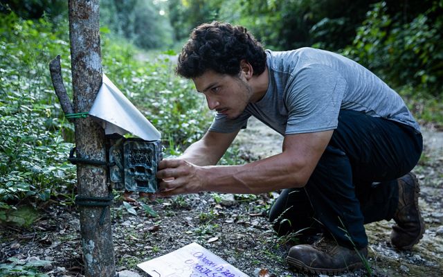 David Lugo crouches next to a camera fastened to a tree trunk as he collects memory cards and batteries.
