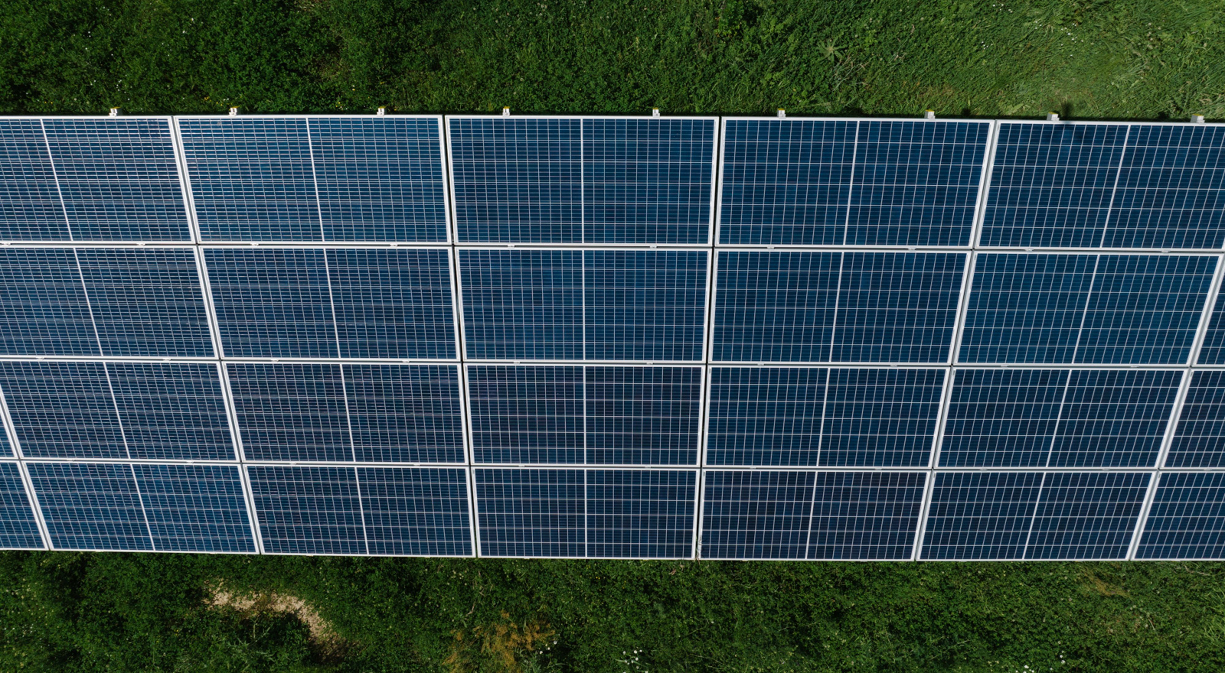 Solar panels in tight rows reflect back sunshine.