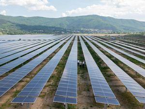 Aerial view of people walking among rows of solar panels.