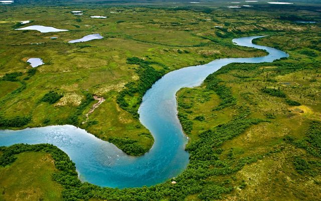 The gravel bottoms and braided channels of rivers leading into Iliamna Lake in southwest Alaska are ideal for the many king salmon that spawn in the lake's waters.