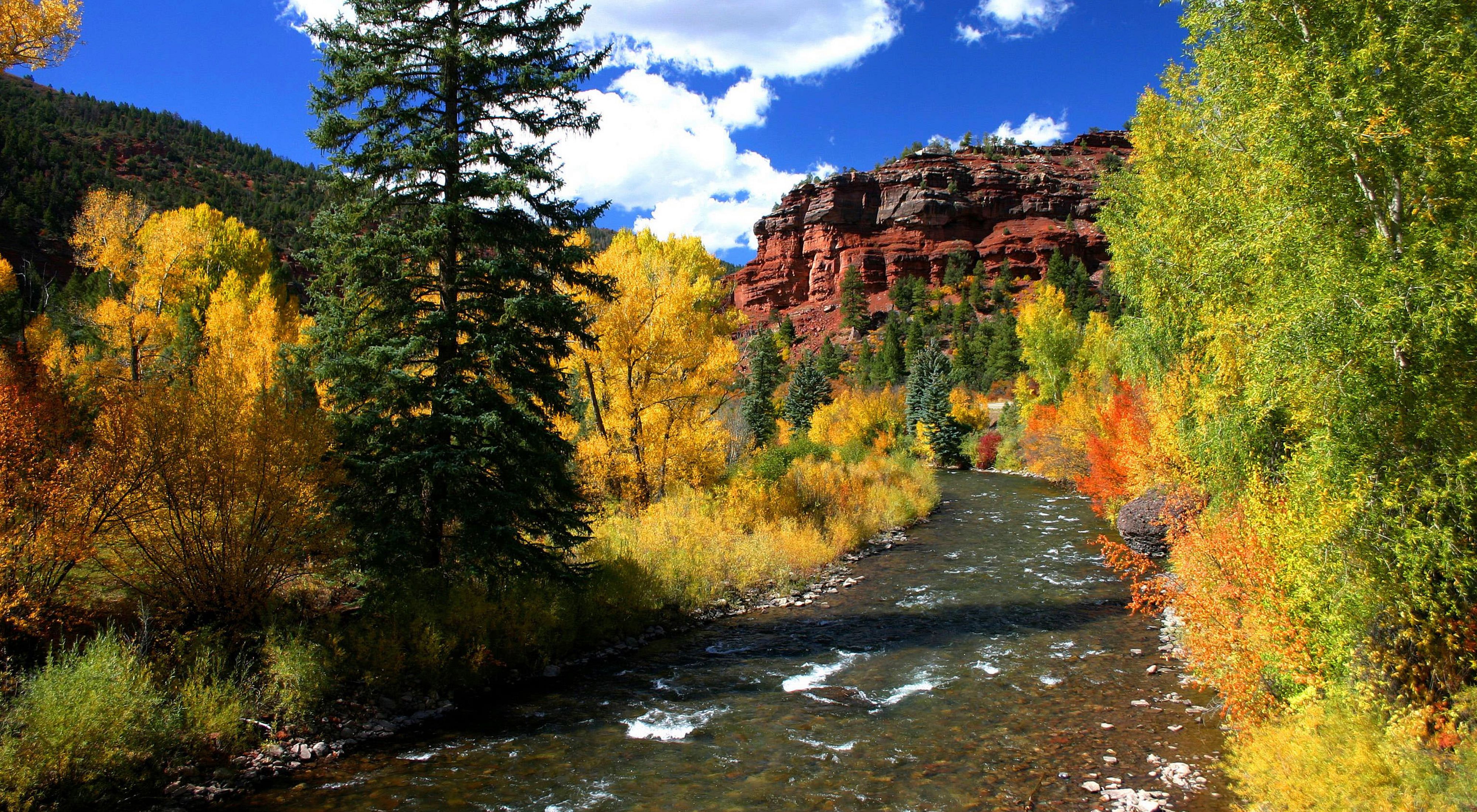 Canyon walls rise above riparian habitat in this autumn view of the San Miguel river