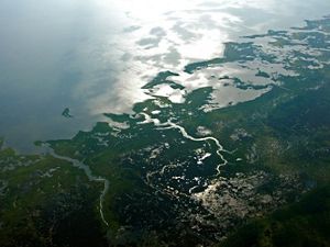 Imagen del logo de Planeta Bala