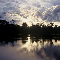 Pacaya-Samiria Reserve, Peru.