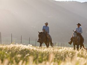 Two farmers on horses riding among crops.