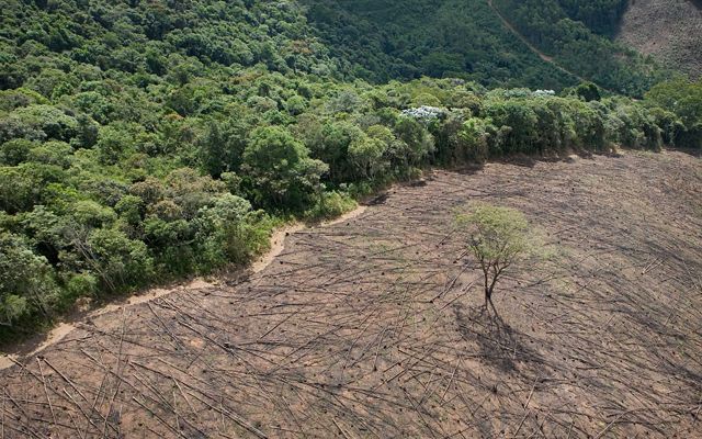 Near Cachoeira Reservoir, Brazil.
