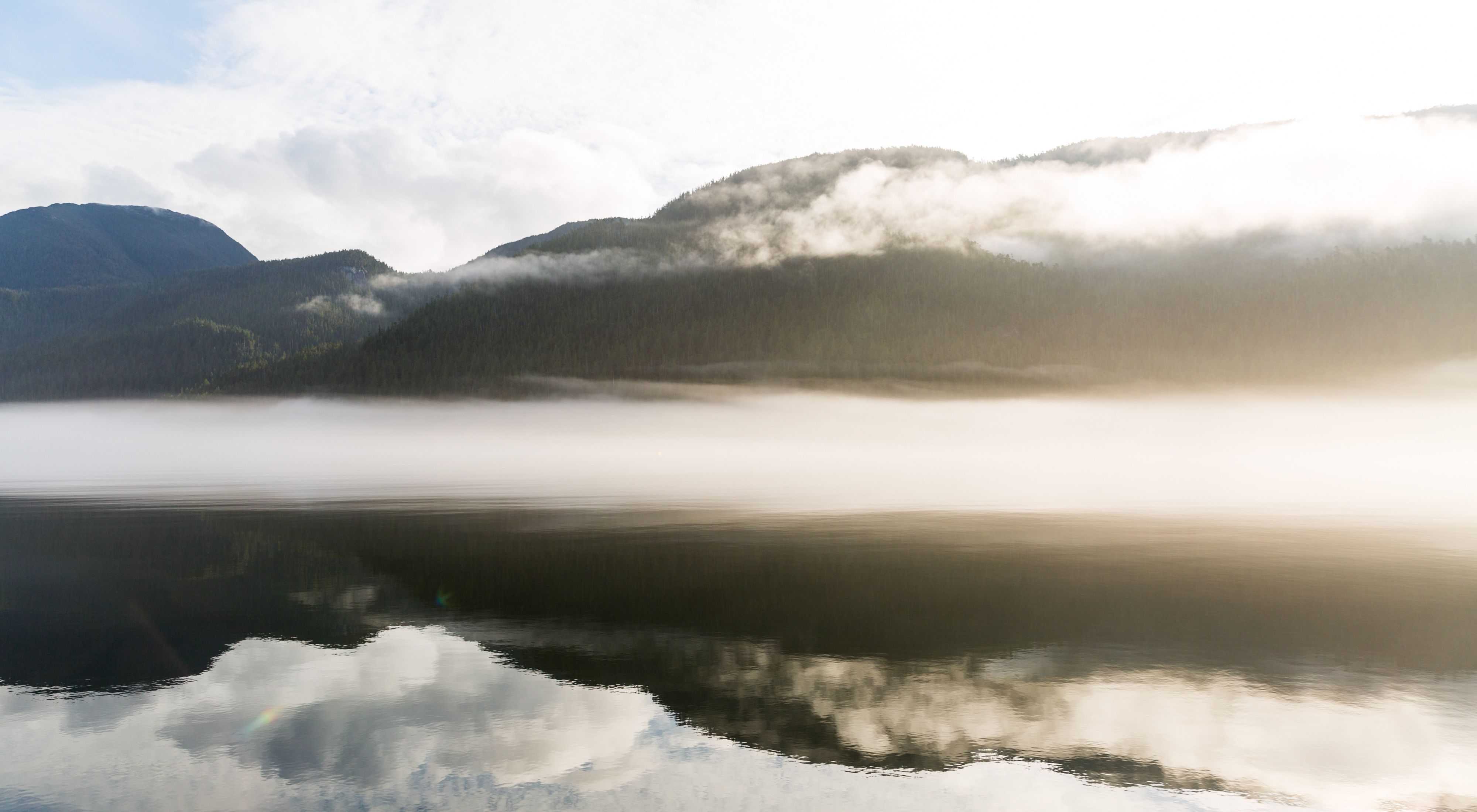 Great Bear Rainforest