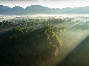 Rays of sunlight over a forest in Indonesia.