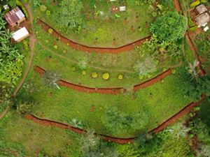 Aerial view of terraced farm land.