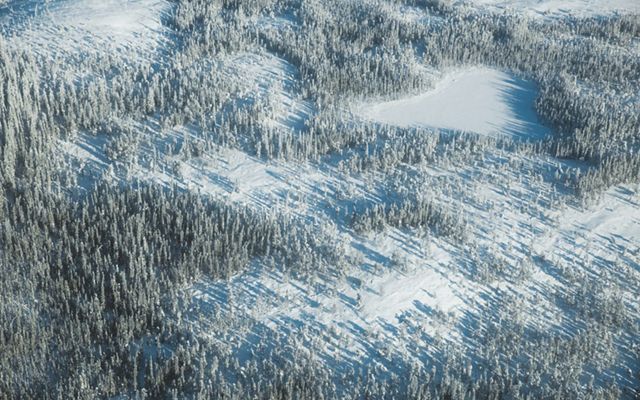 an aerial view of a snow covered forest landscape