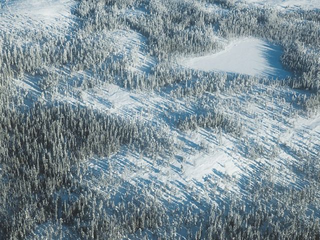 aerial of snowy boreal forest with frozen lakes and tundra in Canada's Northwest Territories