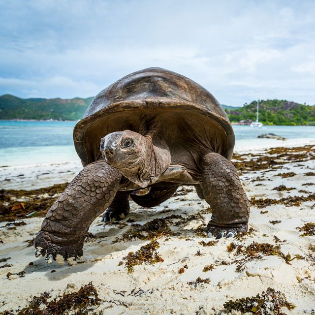 Colorful fishing boats harbored in a turquoise ocean 